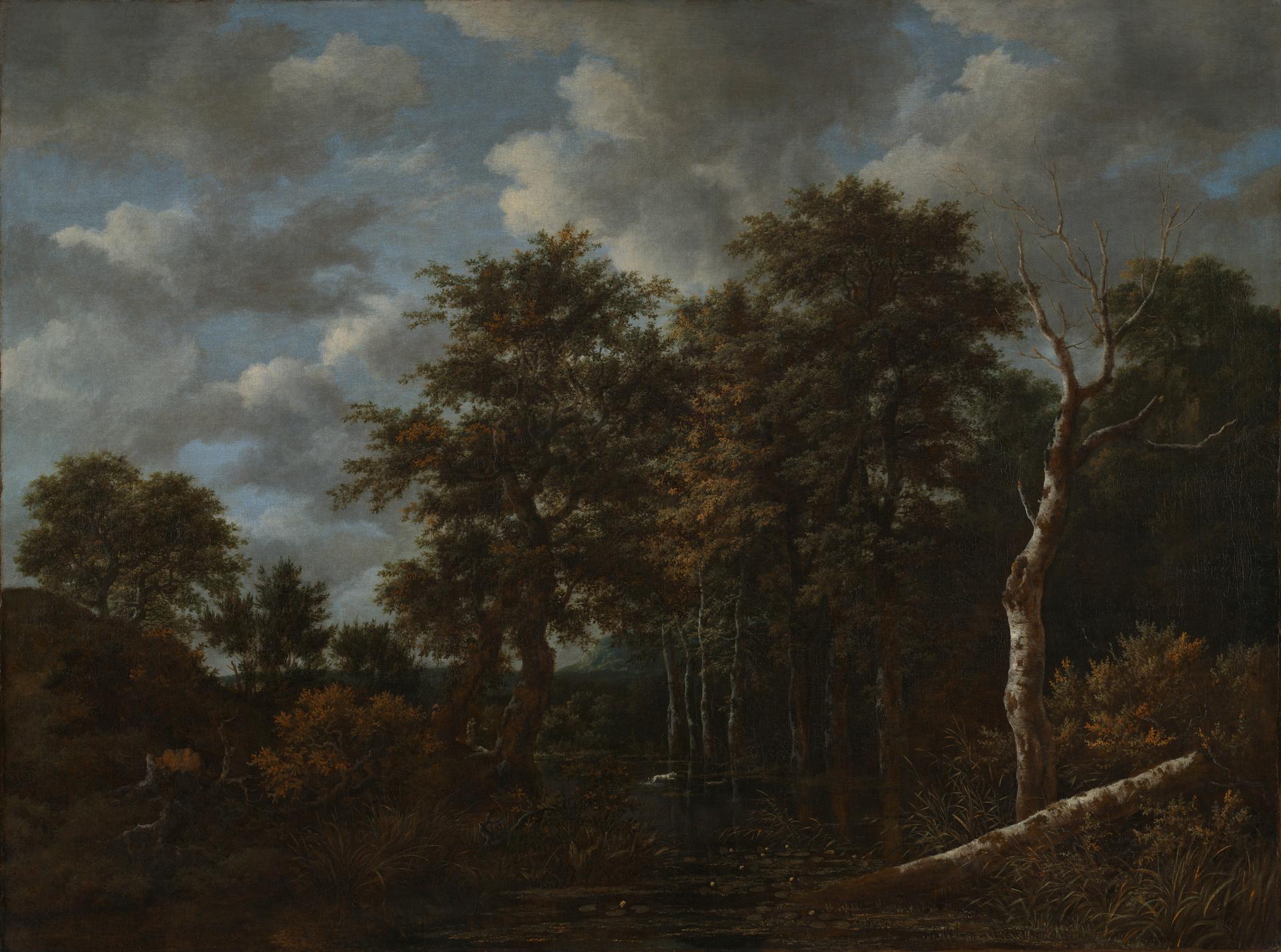 A Pool surrounded by Trees by Jacob van Ruisdael