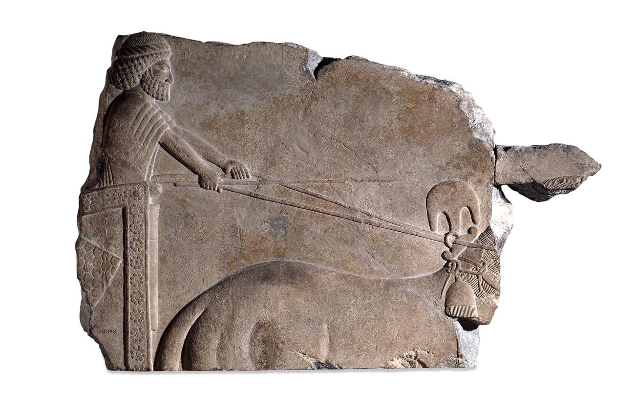 Achaemenid relief