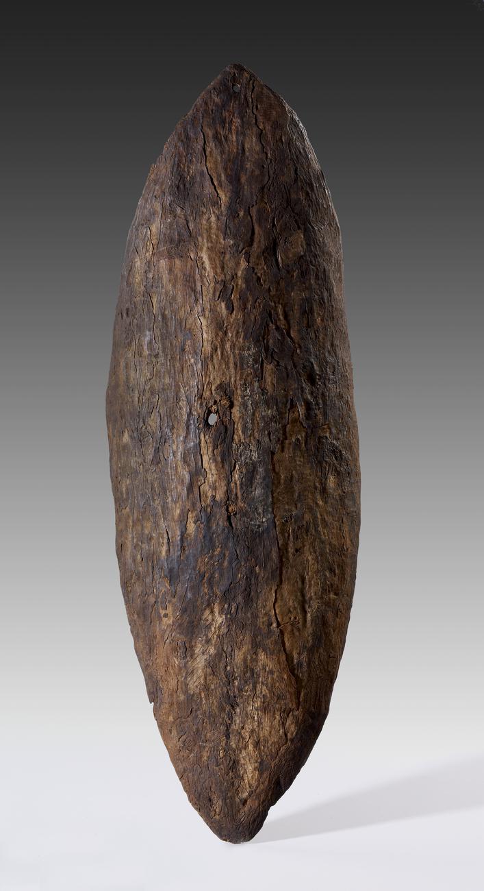 Australian bark shield