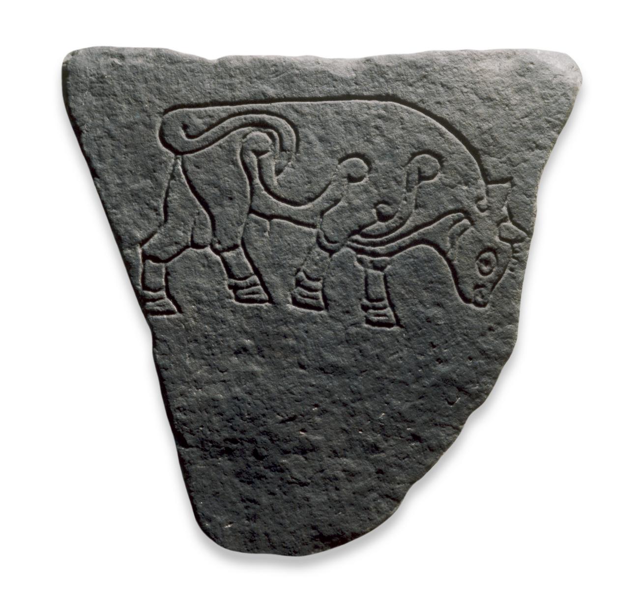 Carving of the Burghead bull