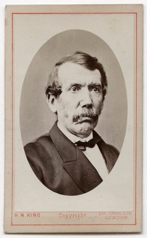 David Livingstone by Horatio Nelson King
