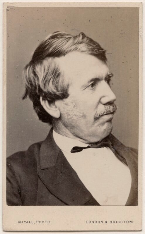 David Livingstone by John Jabez Edwin Mayall
