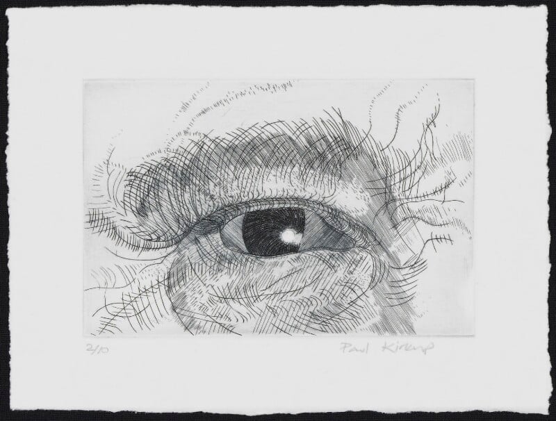 Engraving of an eye by Sarah Gillespie