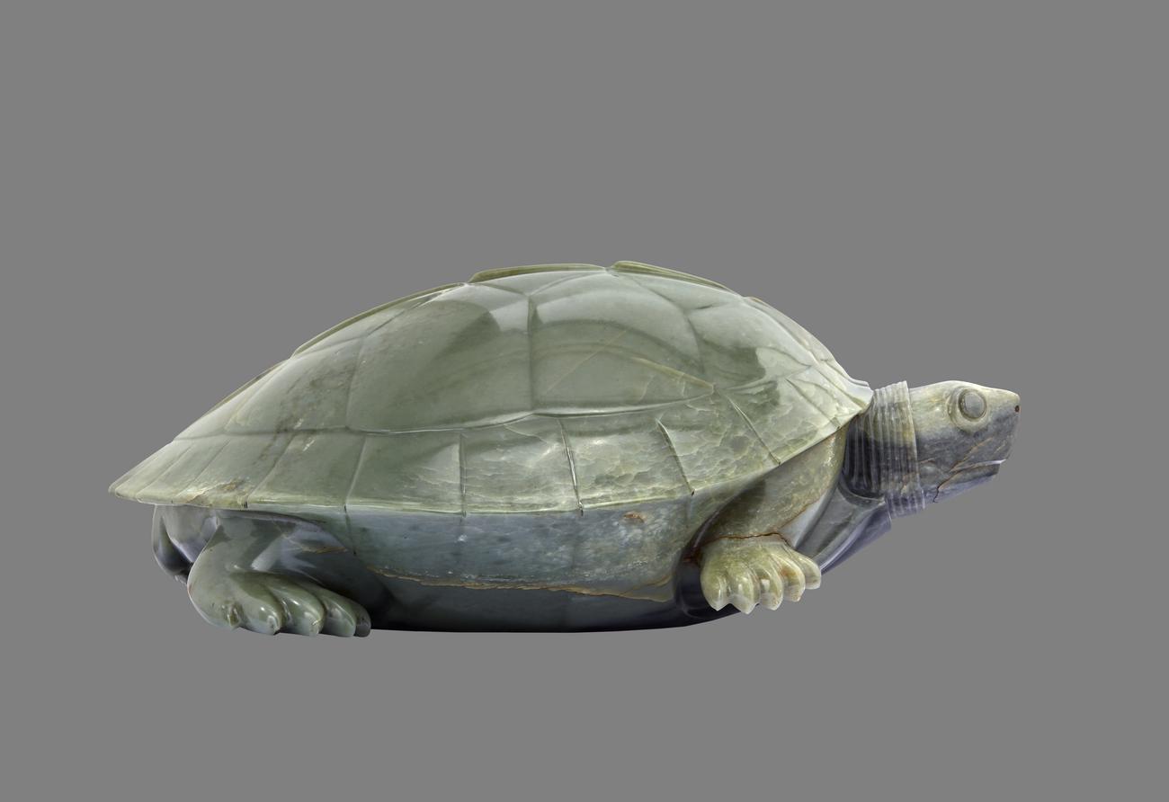 Jade terrapin