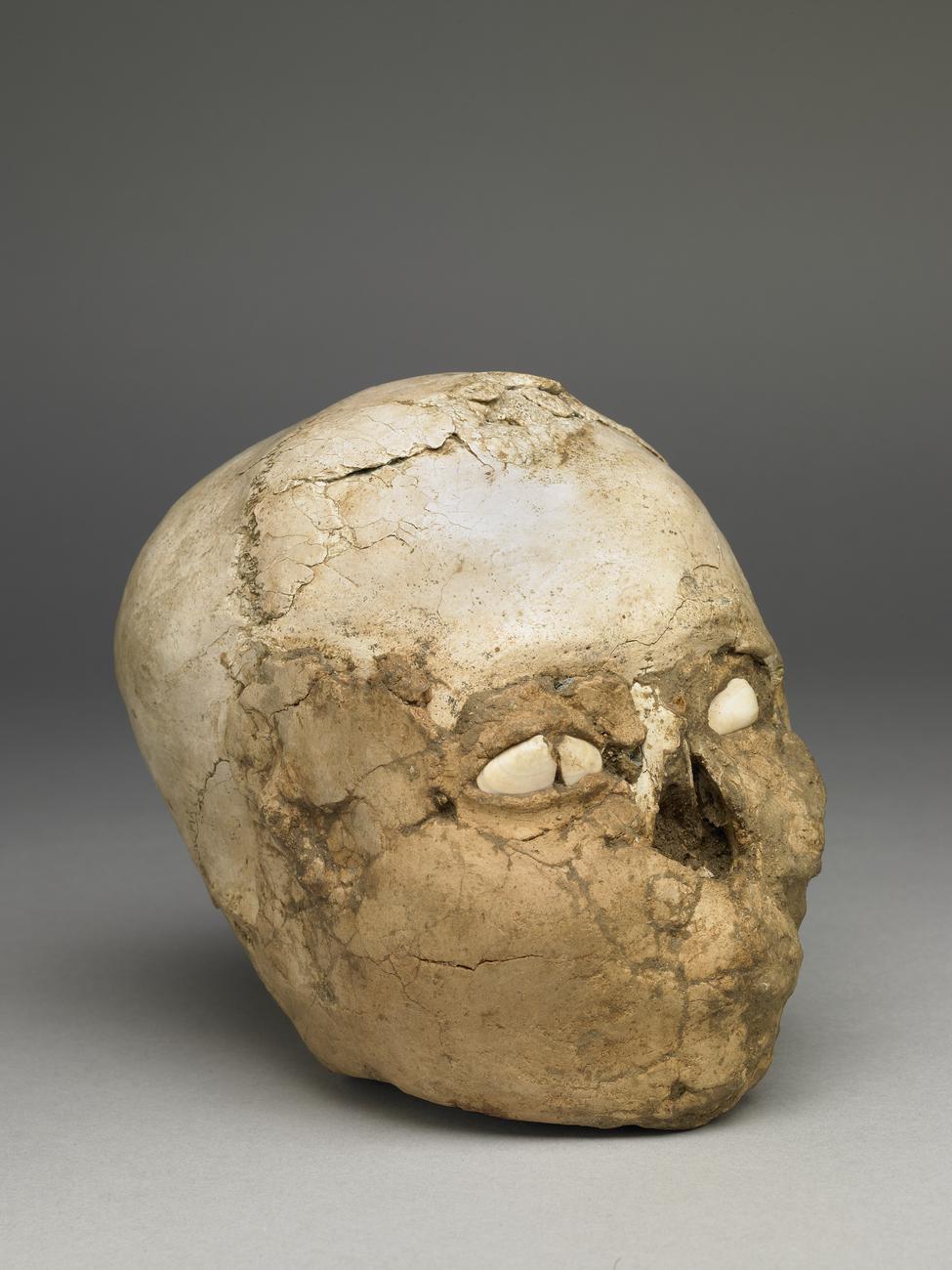 Jericho skull