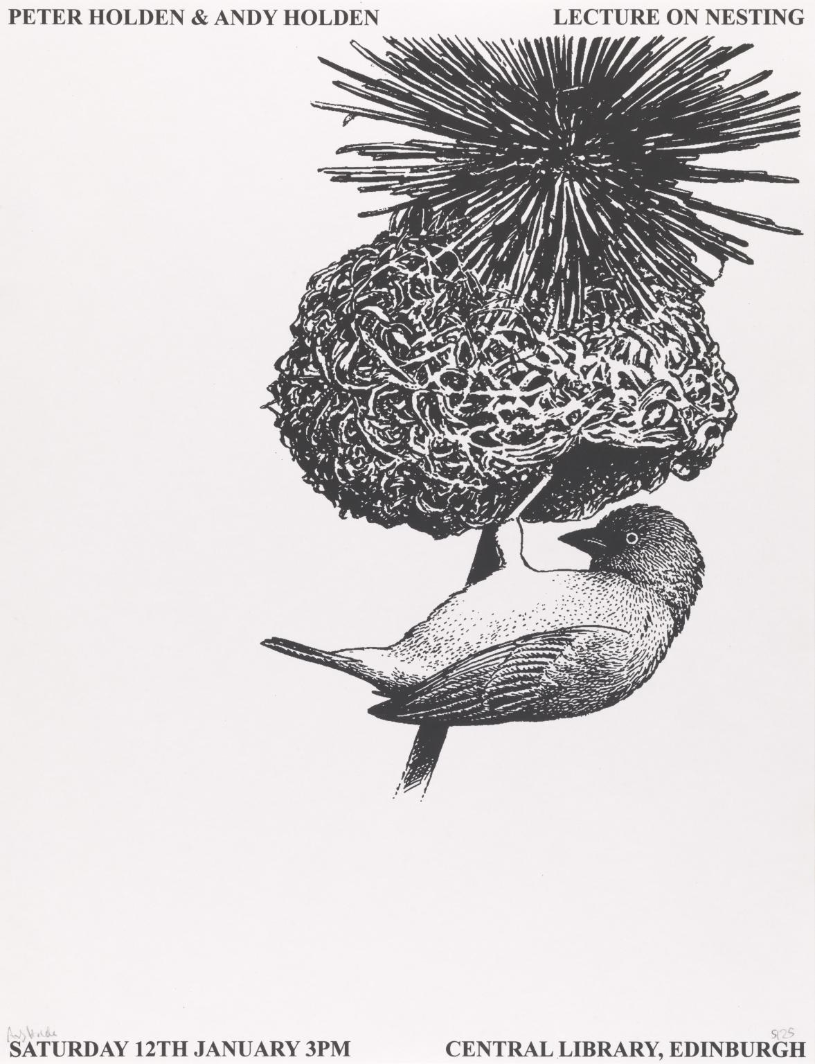 Lecture on Nesting (Edinburgh Central Library/Collective Gallery) by Andy Holden