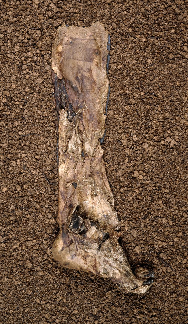 Lindow Man: bog body