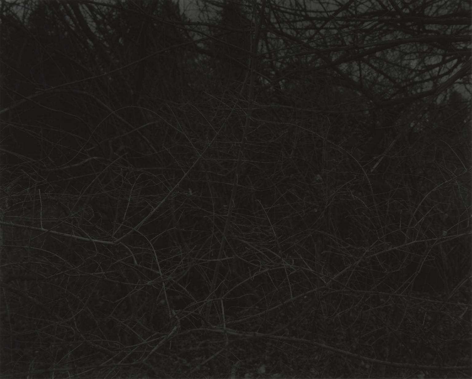 Night Coming Tenderly, Black: Untitled #16 by Dawoud Bey
