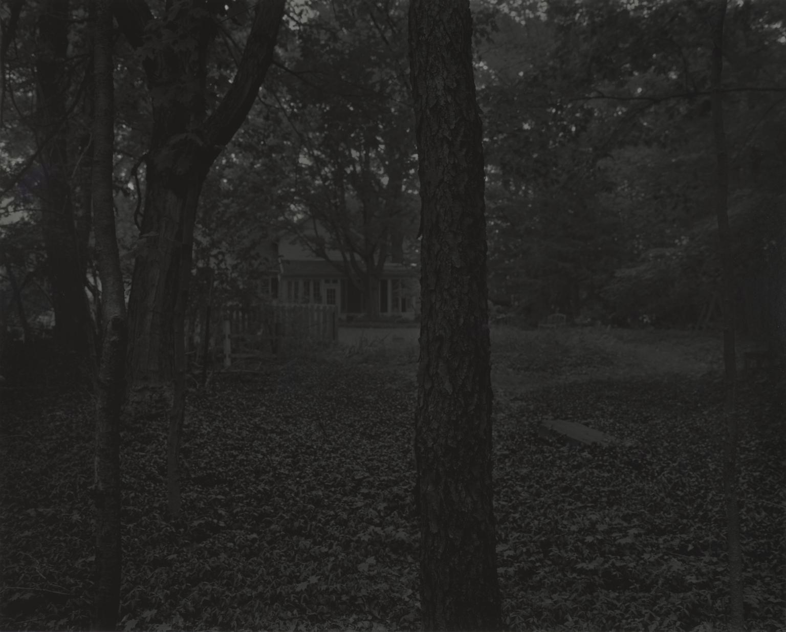 Night Coming Tenderly, Black: Untitled #2 (Trees and Farmhouse) by Dawoud Bey
