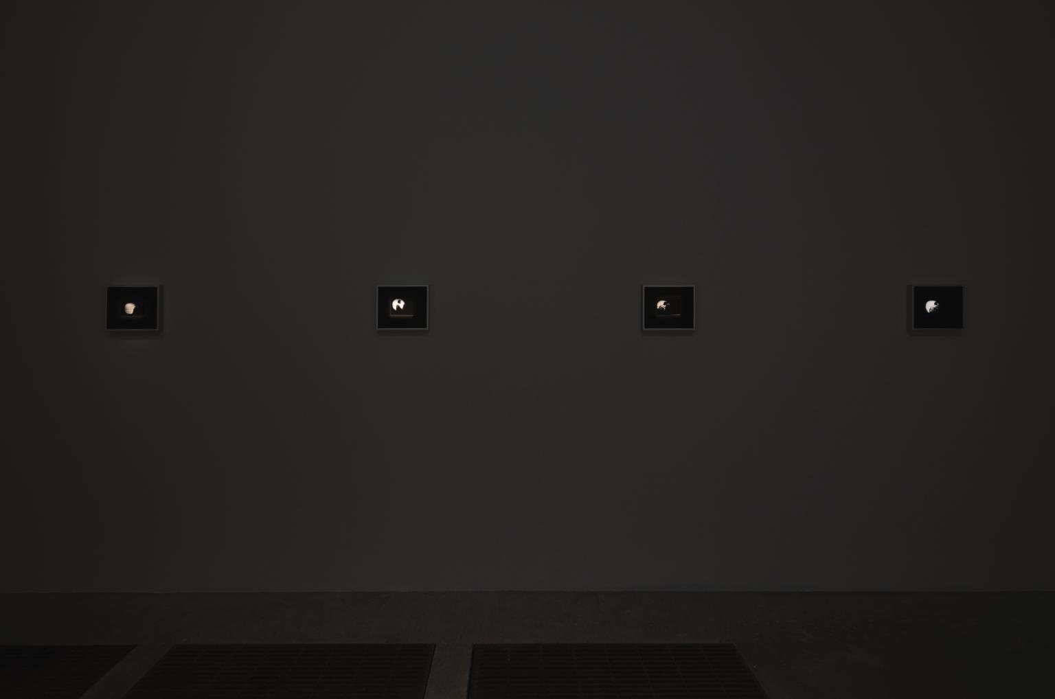 On Porcelain by Miguel Ángel Rojas