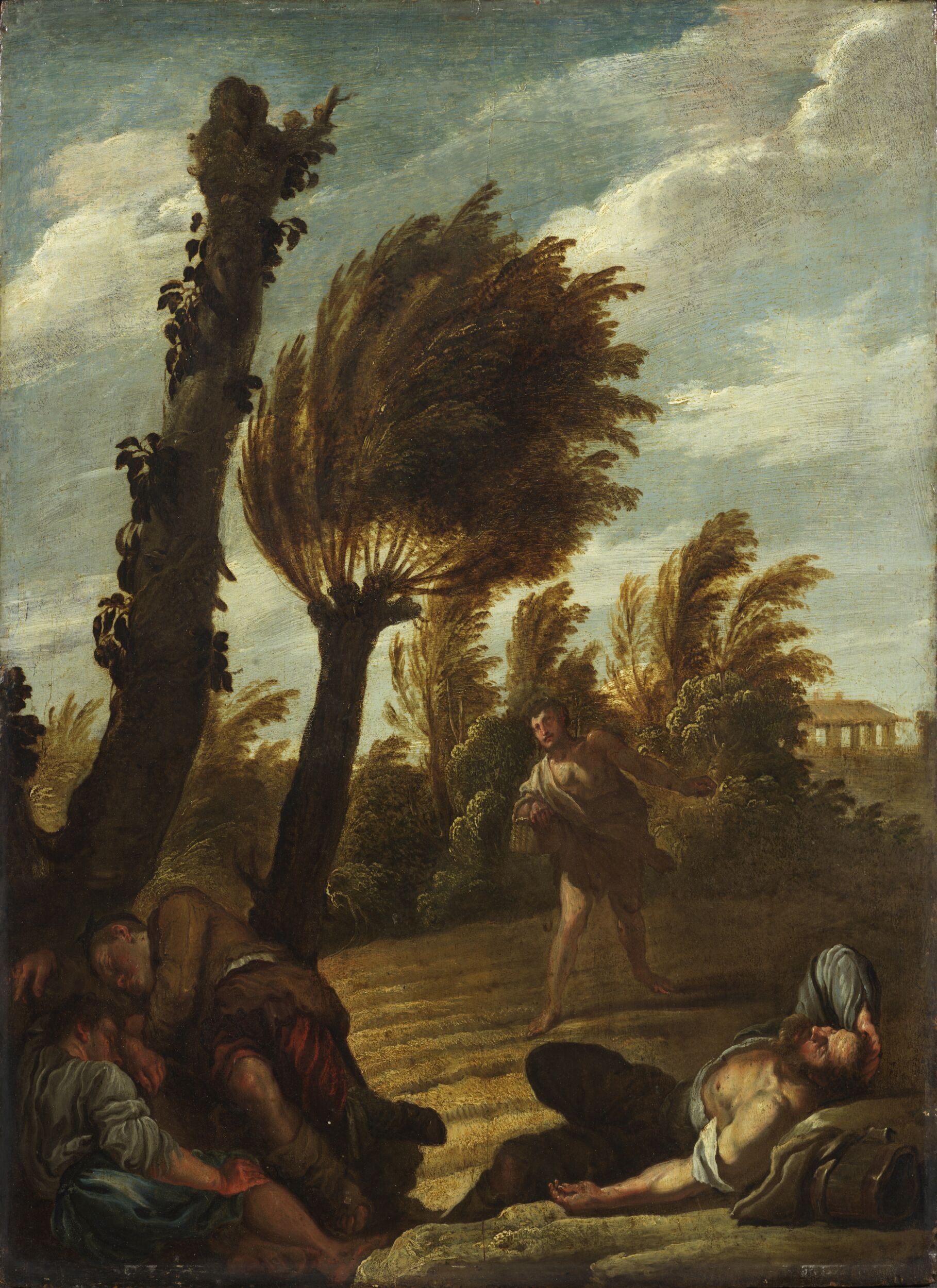 Parable of the Sower of Tares by Domenico Fetti