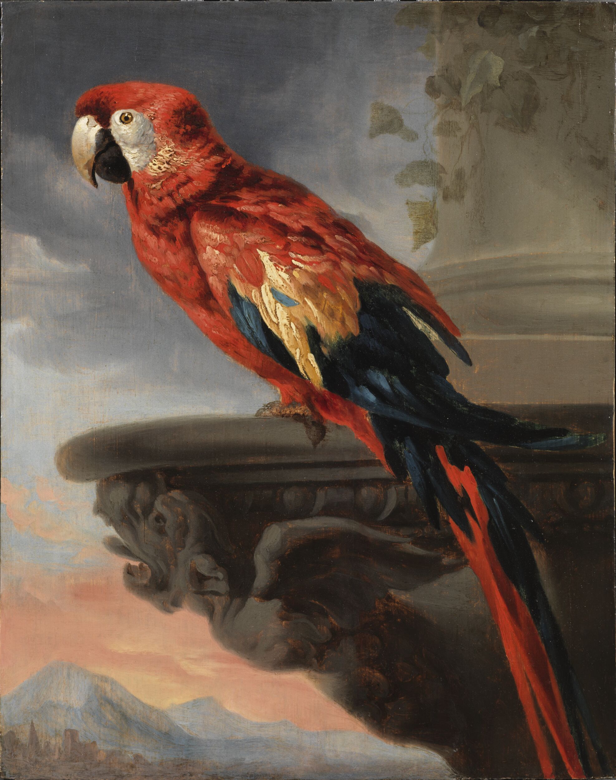 Parrot by Peter Paul Rubens