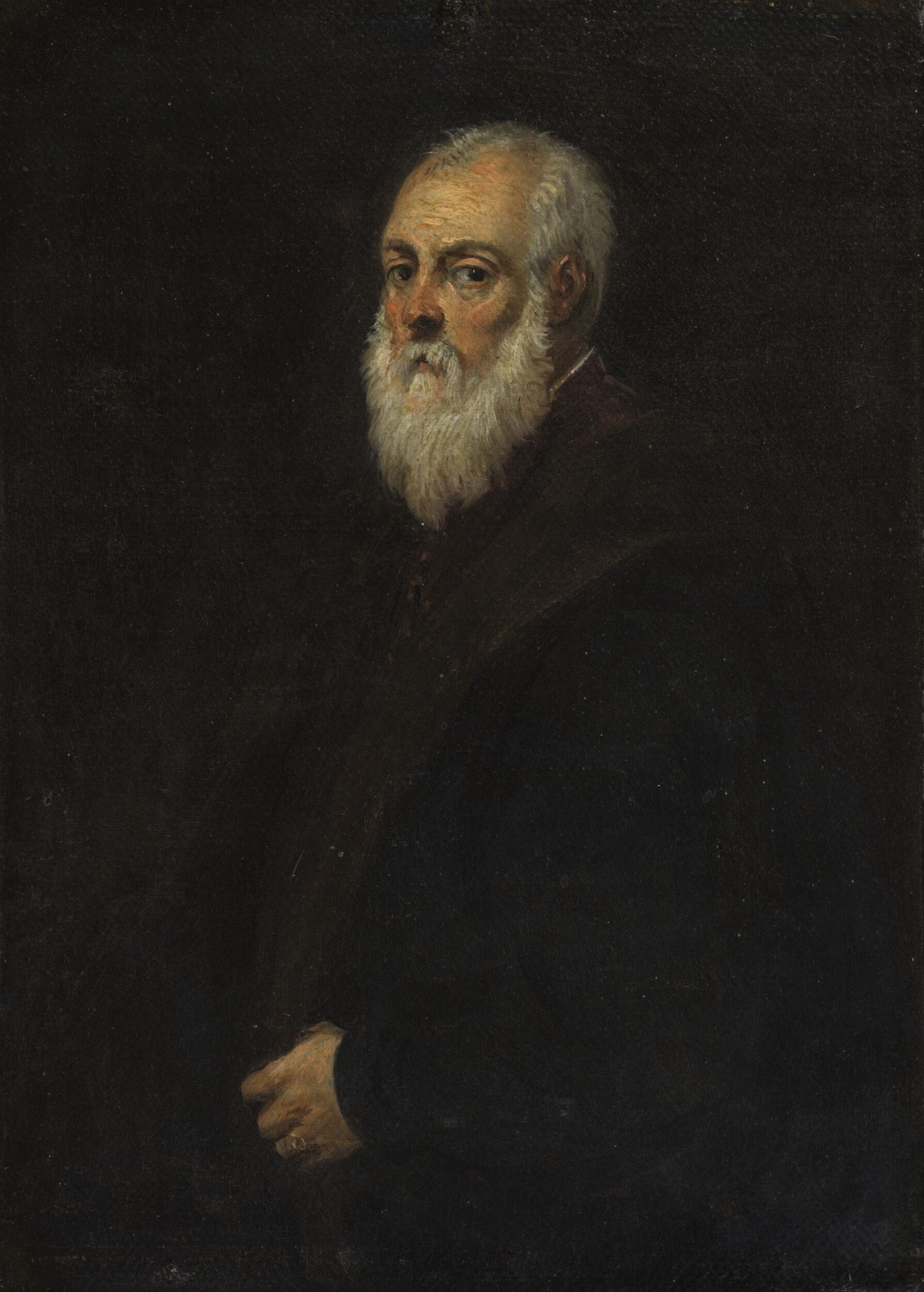 Portrait of a Bearded Man (after Jacopo Tintoretto) by David Teniers II