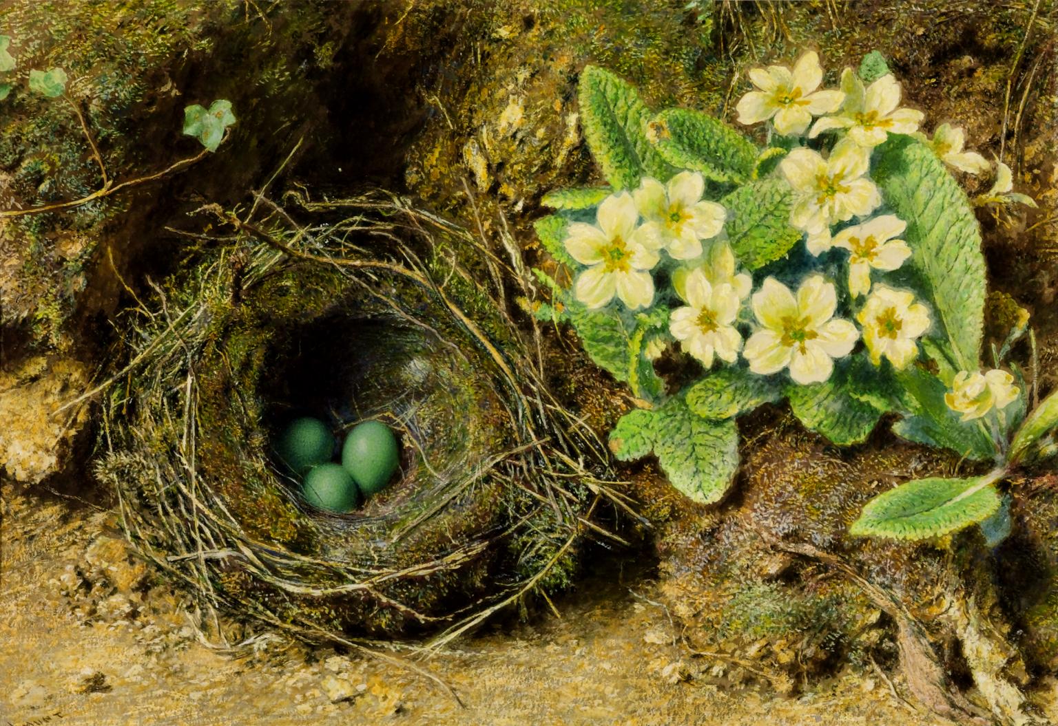 Primroses and Bird’s Nest by William Henry Hunt
