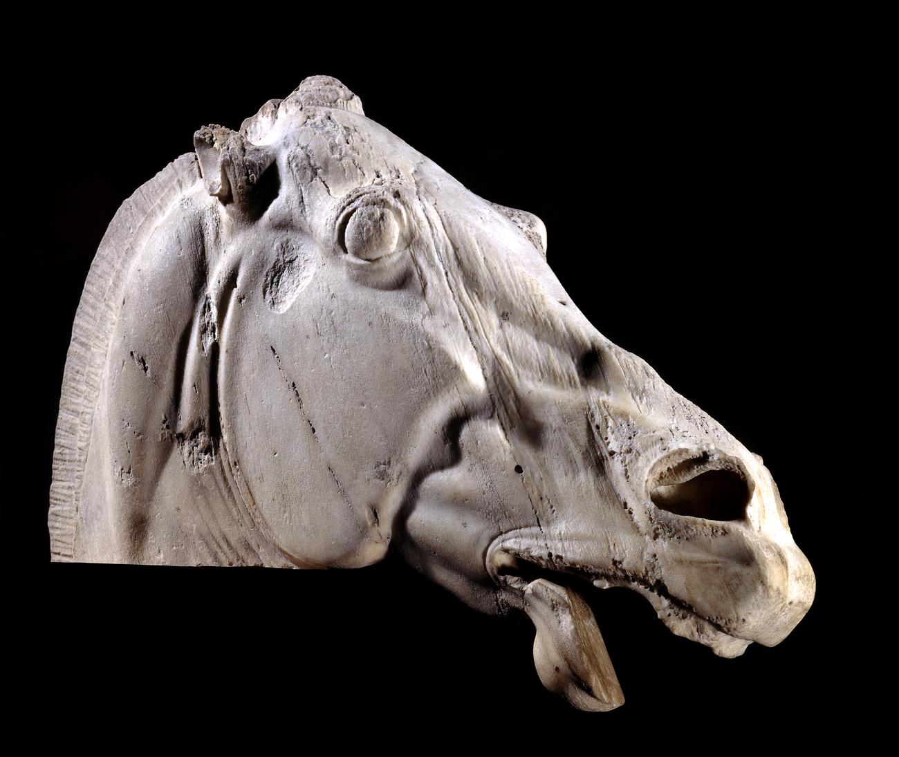 Sculpture of a horse's head