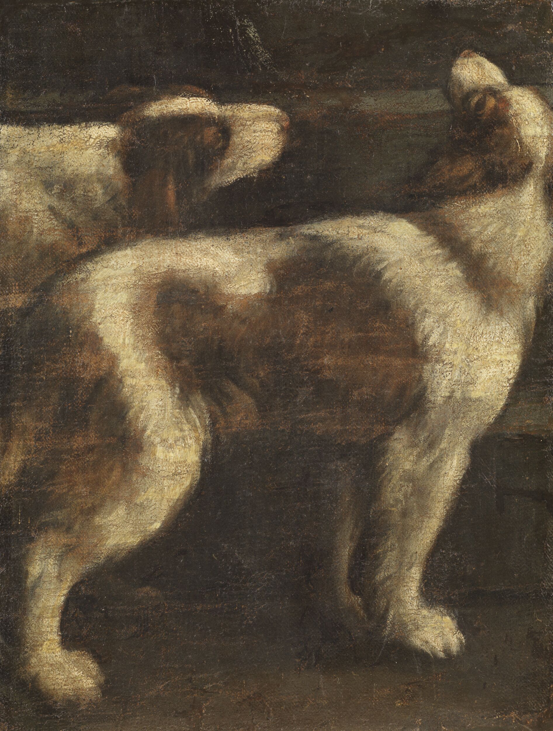 Two Dogs (fragment) by Spain 17th century